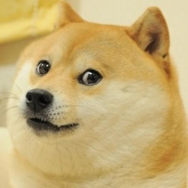 Free Doge.jpg meme template