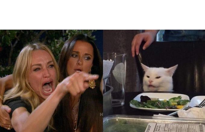 Free Woman-Yelling-At-Cat.jpg meme template