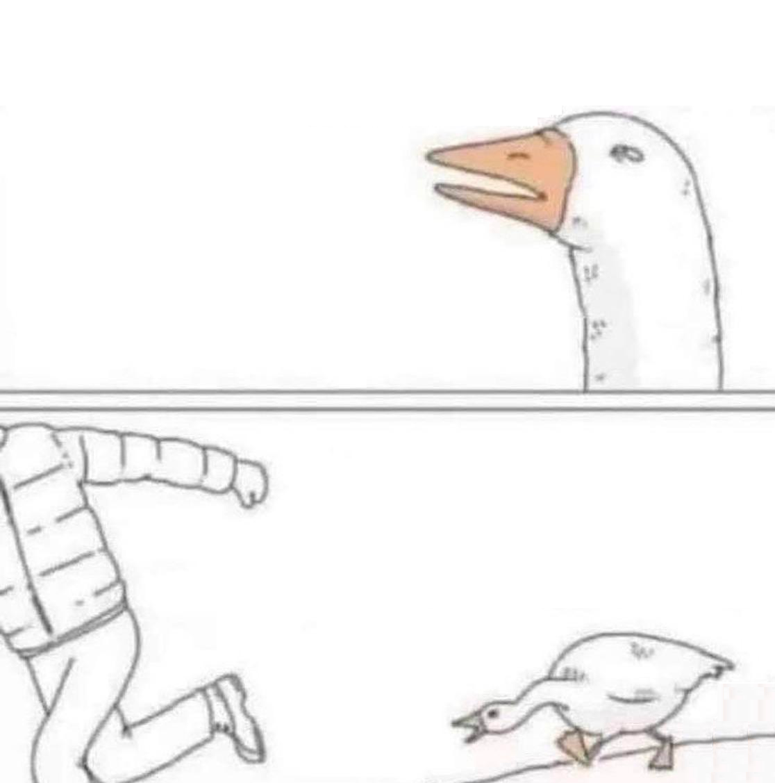 Free angry-goose.webp meme template